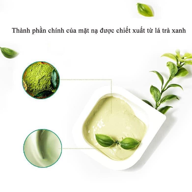 Mặt Nạ Đất Sét HIISEES Rau Má Trà Xanh Matcha có thành phần chủ yếu từ Trà Xanh