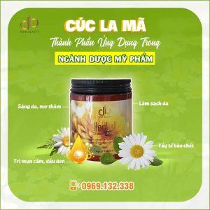 Cúc La Mã Và Các Tác Dụng Tuyệt Vời Đối Với Làn Da