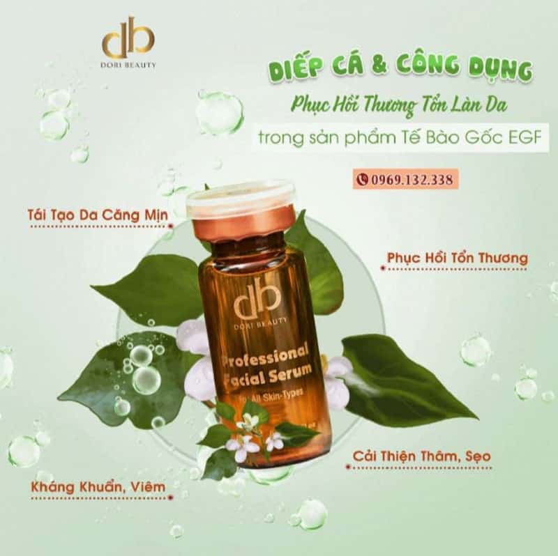 Diếp cá và tác dụng phục hồi thương tổn làn da trong sản phẩm tế bào gốc egf