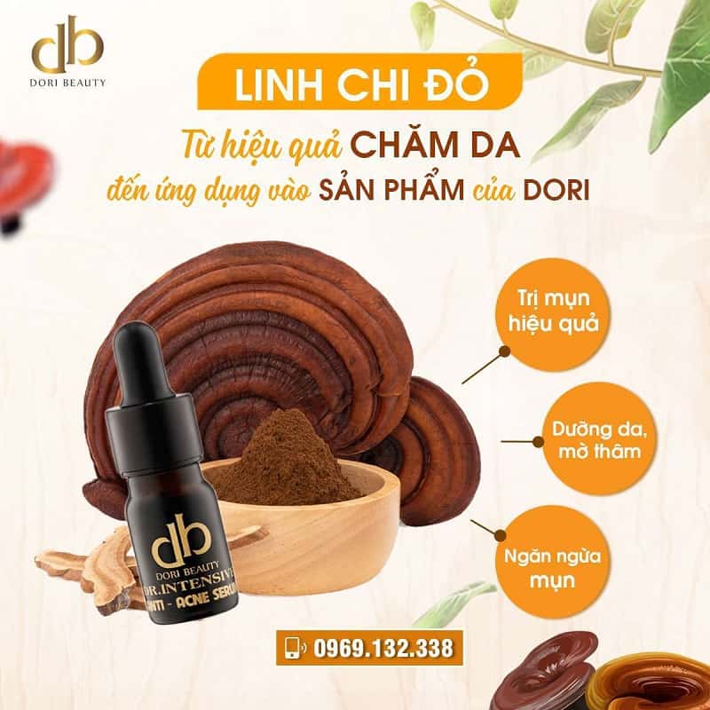 Vai Trò Làm Đẹp Của Linh Chi Đỏ Trong Mỹ Phẩm Dori 