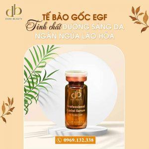 Tế Bào Gốc EGF: Ứng Dụng Làm Sáng Da - Ngừa Lão Hóa
