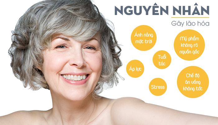 Nguyên nhân lão hóa da